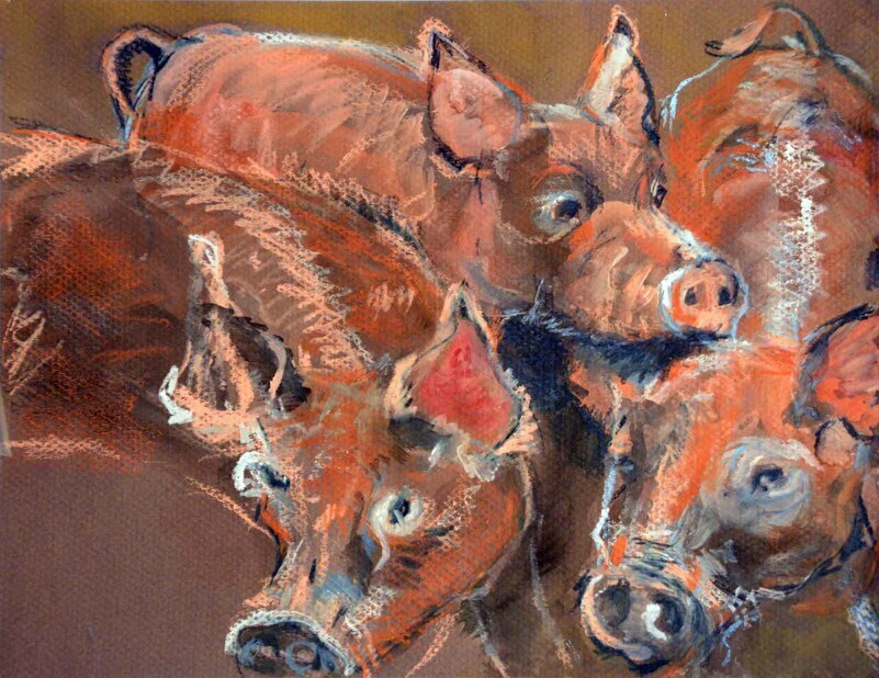 Four Piglets by Rebecca Dufton, 11 x 8.5, watercolour on paper