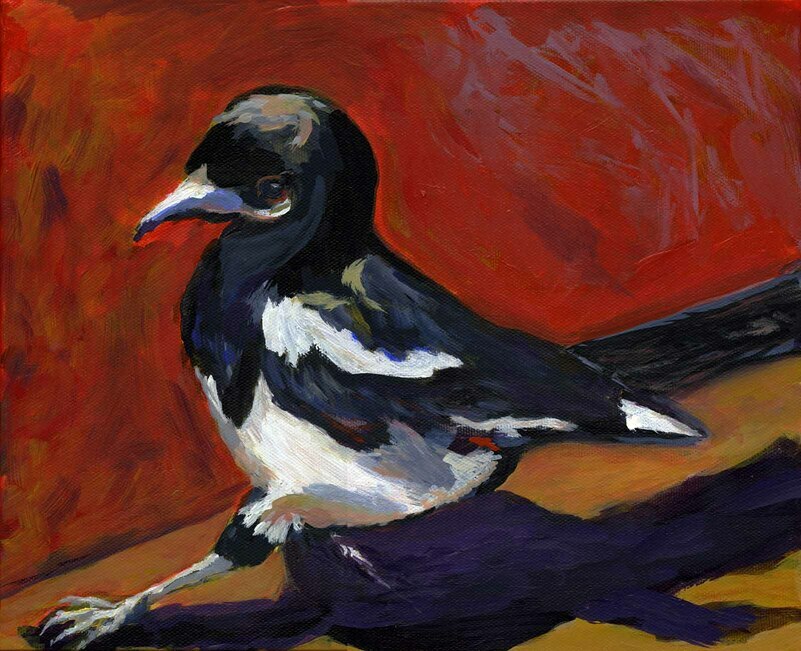 Proud Magpie by Rebecca Dufton, 10 x 12 inches, acrylic on canvas
