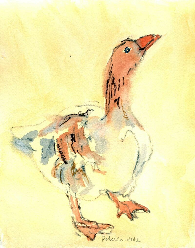 Silly Goose by Rebecca Dufton, 8.5 X 11 inches, watercolour on paper