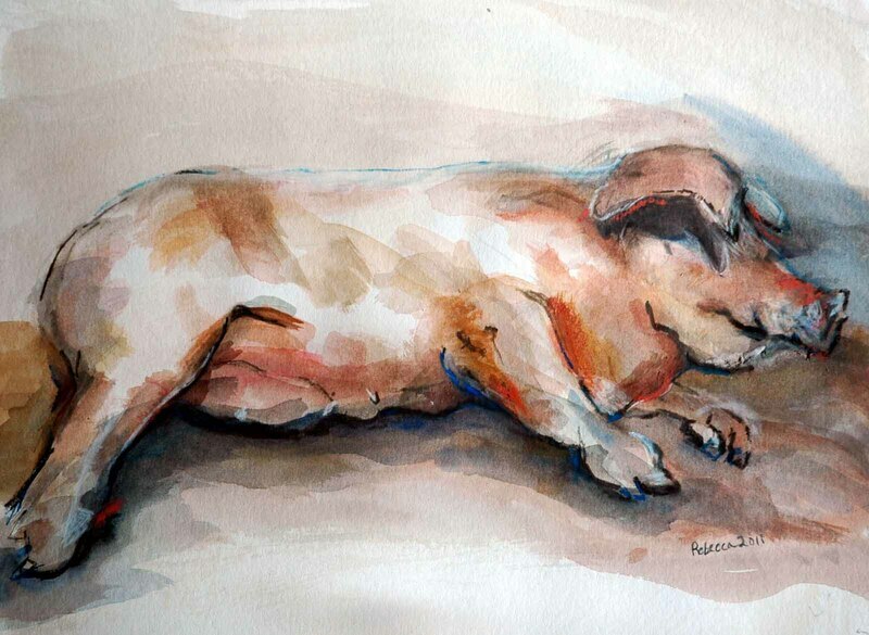 Sleeping Pig by Rebecca Dufton, 20 x 16 inches, watercolour on paper