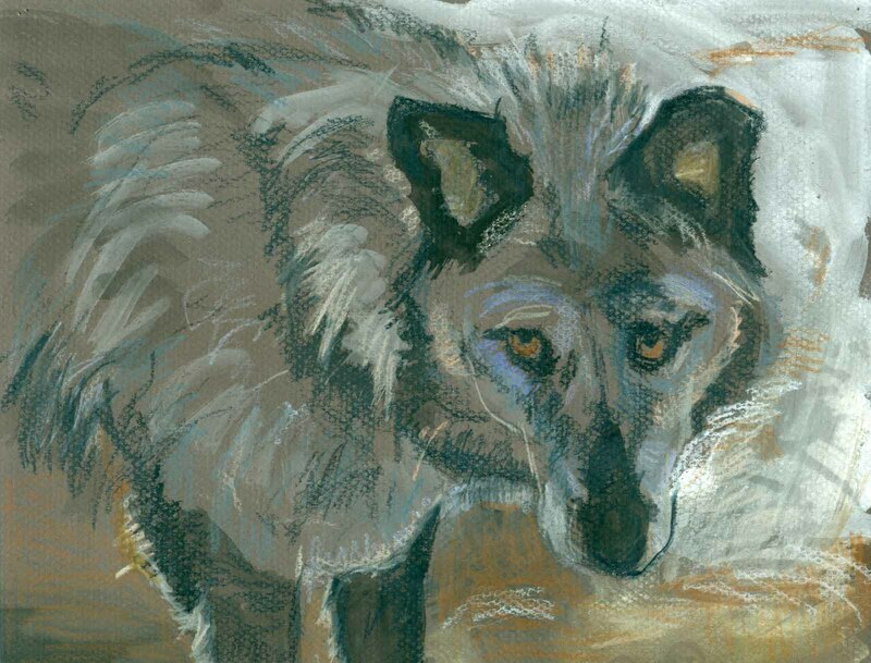 Wolf by Rebecca Dufton, 11 x 8.5 inches, water color and gouache on paper