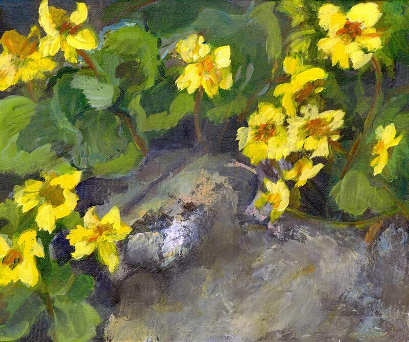 Marsh Marigolds by Rebecca Dufton, 10 x 12 inches, acrylic on canvas