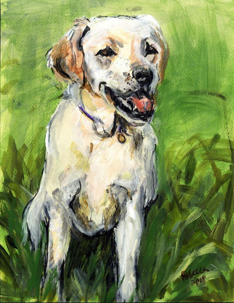 Gracie by Rebecca Dufton, 8.5 x 11 inches, acrylic on paper