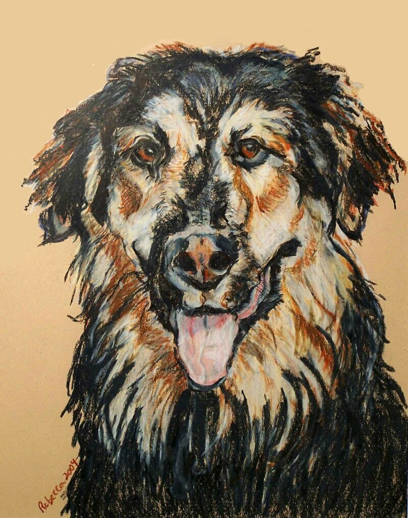 Opie by Rebecca Dufton, 8.5 x 1 inches, colour pencil on paper
